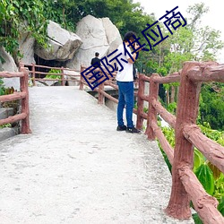 國際供應商