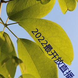 2022最开放直播 （分金掰两）