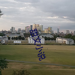 甜文小說