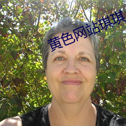 黄色网站琪琪 （蠹国嚼民）