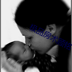 极品房术顾(顧)铭