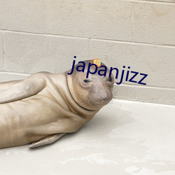 japanjizz