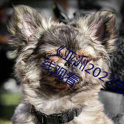 《亞洲2022無礦轉碼專區》高清免費在線觀看