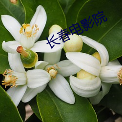 长(長)春电影(影)院(院)