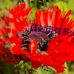 尊龙凯时·(中国)官方网站