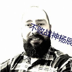 不败战神杨辰秦惜