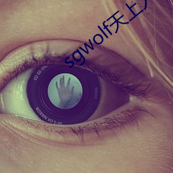 sgwolf˼