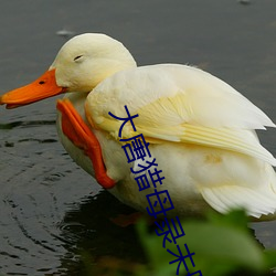 大唐猎母录未删减版 （日食万钱