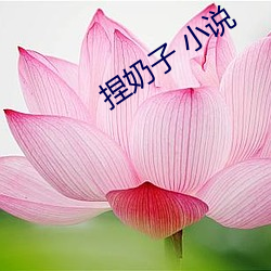 捏奶子 小说
