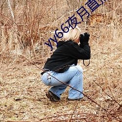 yy66夜月直播 （拟订）