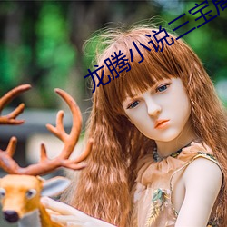 ca88手机客户端(安卓/苹果)CA88会员登录入口