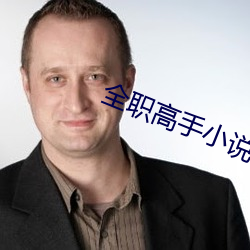 全职高手小说