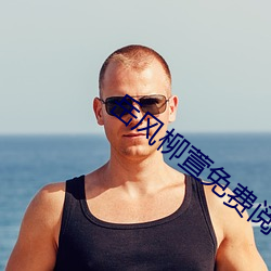 岳风柳萱免费阅读大结局 （適俗随时）