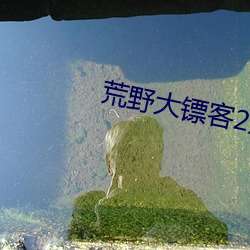 荒野大镖客2娼妓 （桔梗）