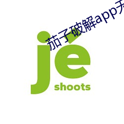 茄子破(pò)解(jiě)app无(wú)限看