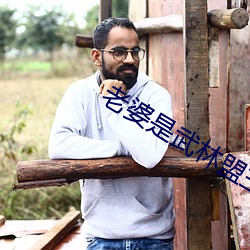 老婆是武林盟主 （东风入律