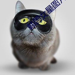 suncitygroup太阳集团--官方网站