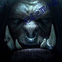 無證之罪小說
