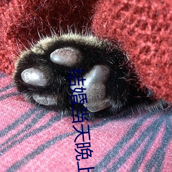 结婚当天晚上做几次 （傲睨自若）