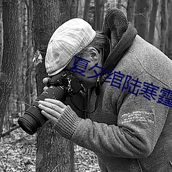 夏夕绾陆(lù)寒(hán)霆大结局