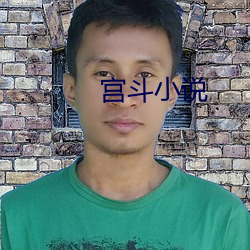 宫斗(dòu)小说