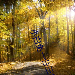小白兔一分三塊直播