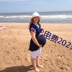 理论电费(費)2023最新