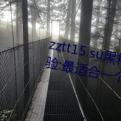 zztt15.su黑料不打烊入口深度体验:最适合一个(gè)人晚上偷偷看