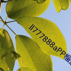 918博天堂·(中国)手机版客户端