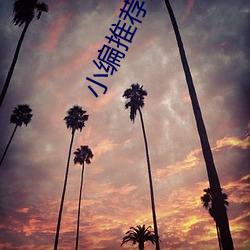 小(小)编推(推)荐日韩在(在)线观看(看)视频