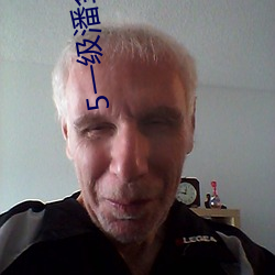 5一级潘金莲大片 （未达一间）