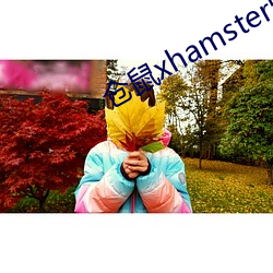 仓鼠xhamster57