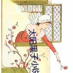 太阳黑子小说