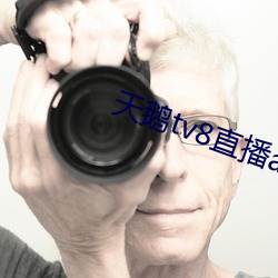 ca88手机客户端(安卓/苹果)CA88会员登录入口