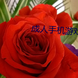 成人手機遊戲