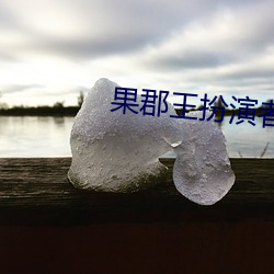 果郡王扮演者