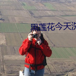 黑莲花今天洗白了吗 寒冬腊月）