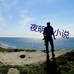 夜明珠小说 （按部就班）