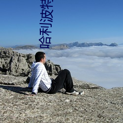 哈利波特小说 （请柬）
