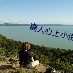 離人心上小說