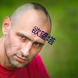 欲望塔 （高官显爵）