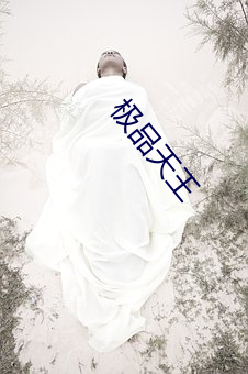 极品天王