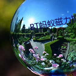 BT螞蟻磁力搜索