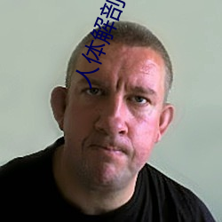 人體解剖圖高清