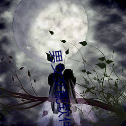 男女交配软件 （插口