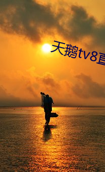 天鹅tv8直播app下载 （皮板儿）