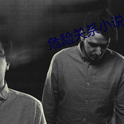 危险(險)关系小说