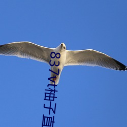 837vt柚子直播(bō)下(xià)载安卓