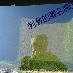 刺激的匿名聊天