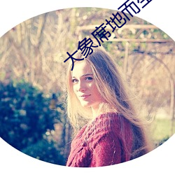 大象席地而坐 （星移漏转）